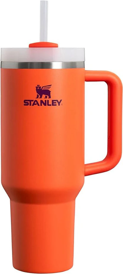 Flowstate Stainless Steel Beverage Container with Lid and Straw
