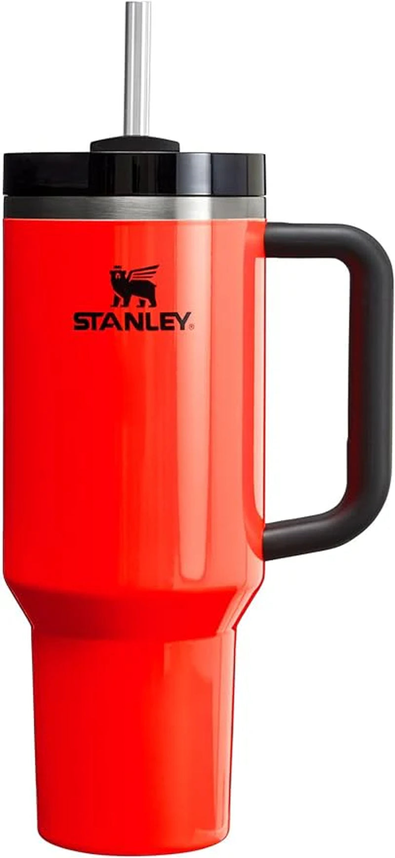 Flowstate Stainless Steel Beverage Container with Lid and Straw